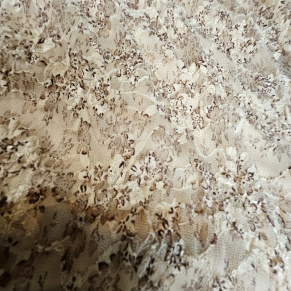 Designs Today's Women Elegant Lace Beige/Gold Dress/Jacket Size XL - Picture 9 of 16